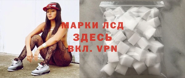 хмурый Белокуриха
