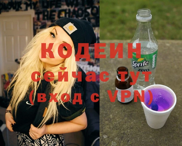 хмурый Белокуриха