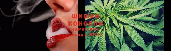 хмурый Белокуриха