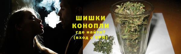 хмурый Белокуриха