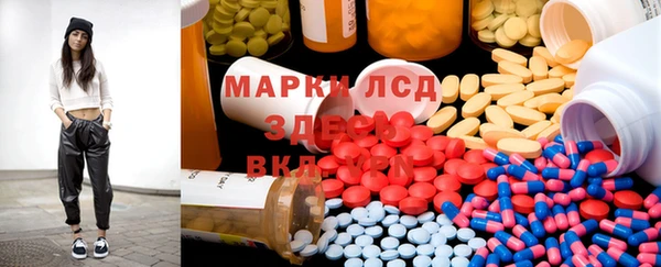 хмурый Белокуриха